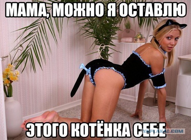 Разные по свежести картинки. Опять