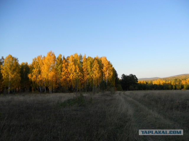 Красота сельских дорог