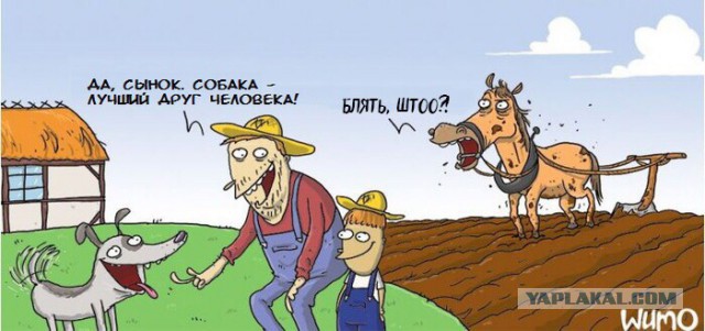 В Якутске на подростка напали два алабая. Он спасался на трансформаторном столбе