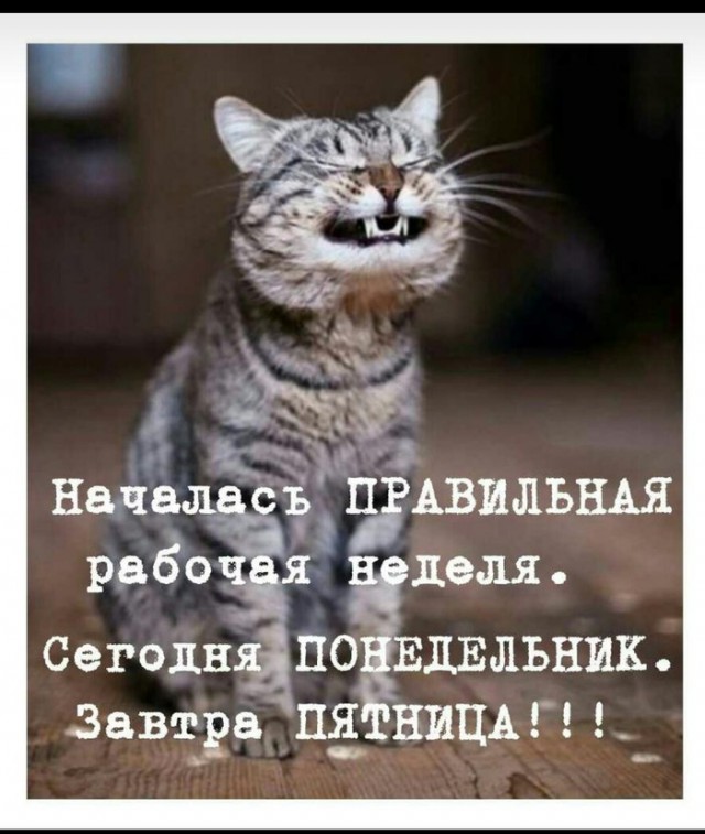 Подборка интересных и веселых картинок 29.04.19