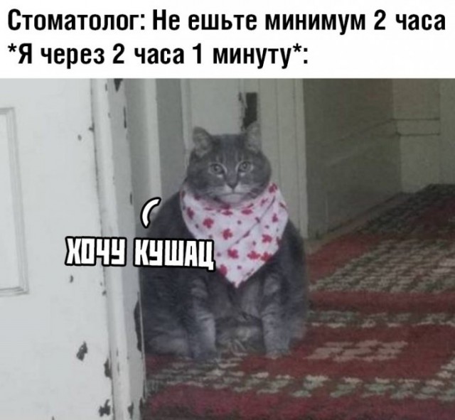 Немного картинок для настроения