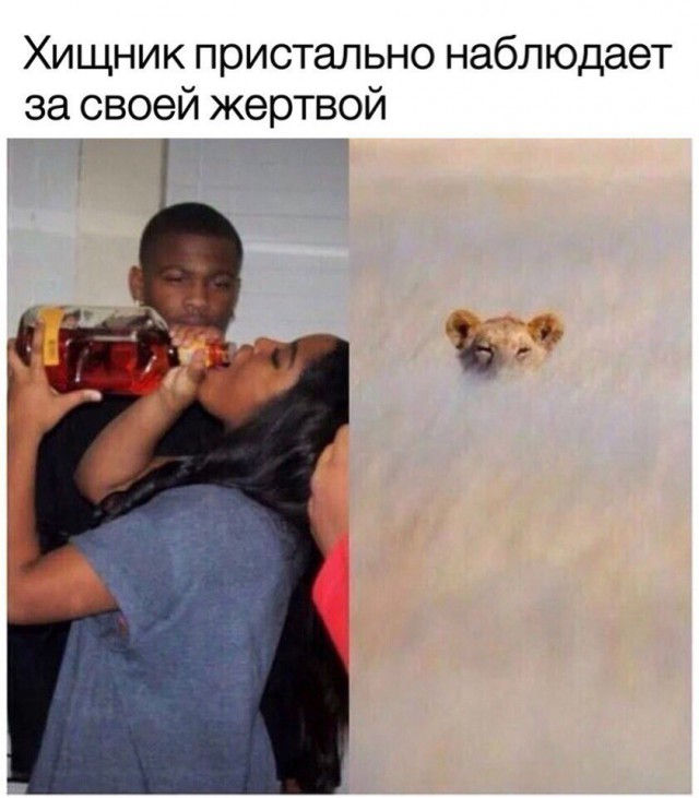 Картинки с надписями и анекдоты