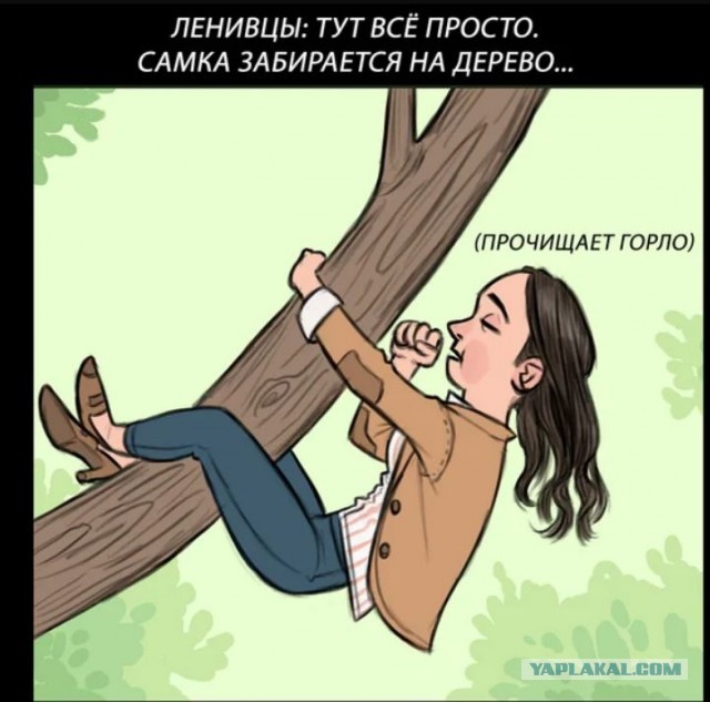 Когда-то повеселило
