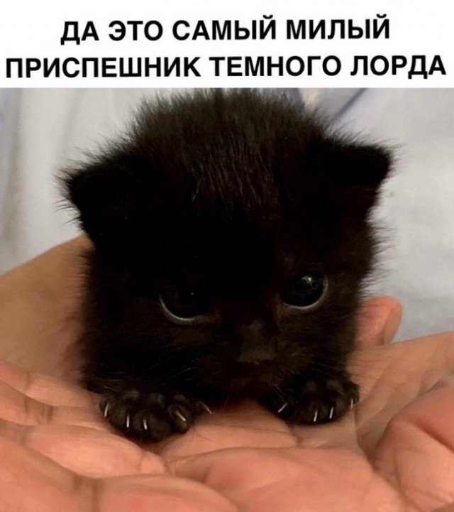 Немного картинок для настроения 28.11.19