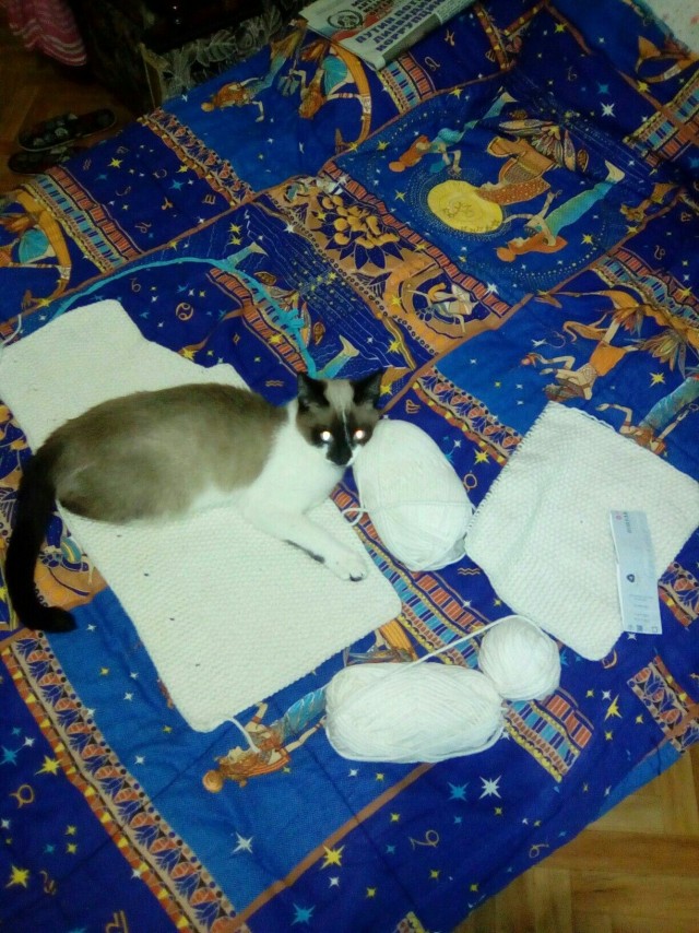 Эти забавные животные