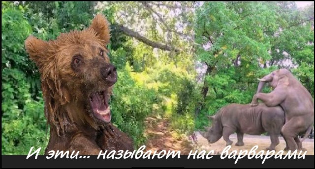 Бредзона 25.08.2020