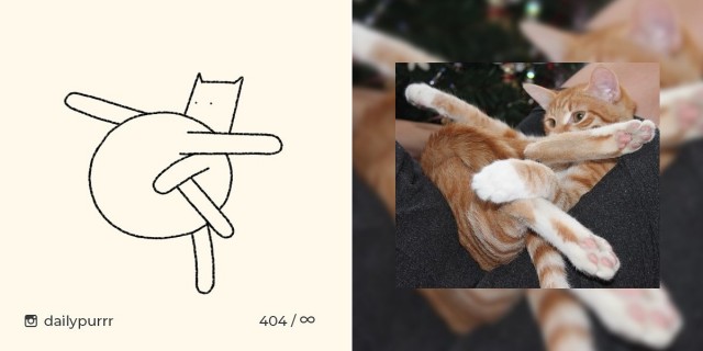 Картинки на котовторник 1.09.20
