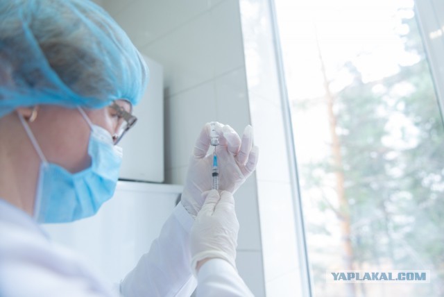 В Алтайском крае у трех медиков, привитых вакциной "Спутник V", выявили коронавирус