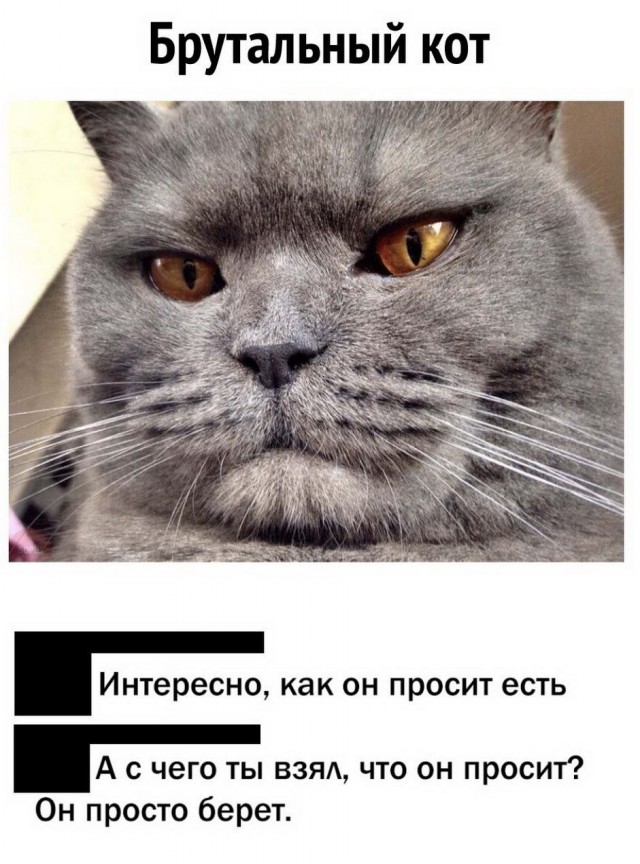 Как дела?