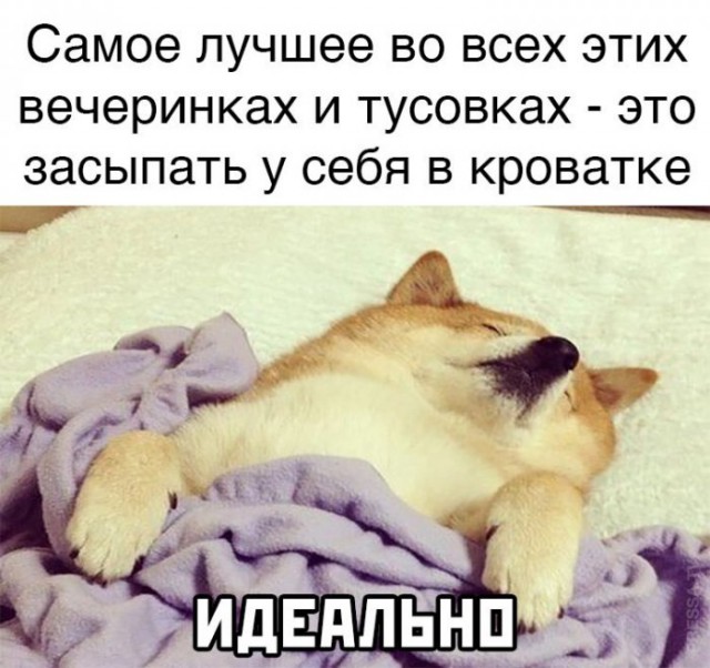 Немного картинок для настроения 17.11.20