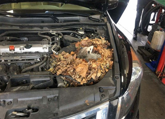 19 захватывающих историй от автомехаников, которые кажется, видели всё и даже больше