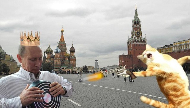 Кот поёт