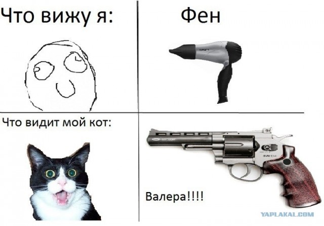 Новый "Ассассин"