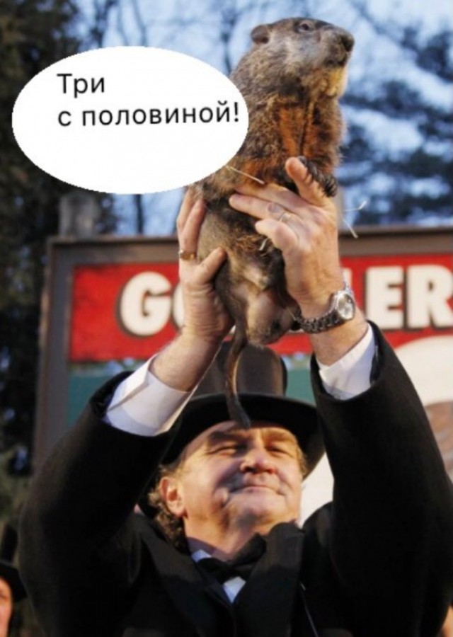 Суд над Навальным. Прямой эфир