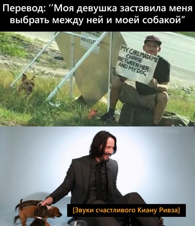 Картинки и мемы для настроения 29.06.2021