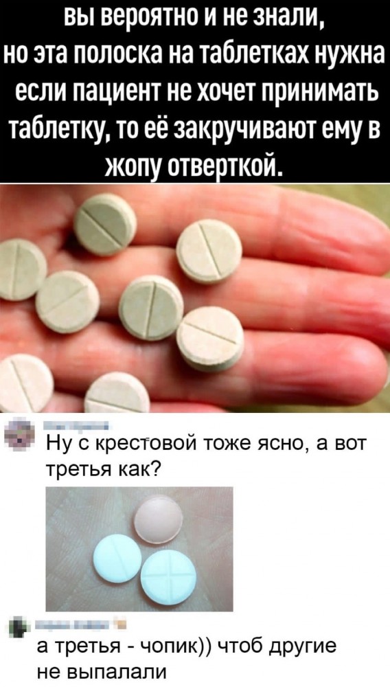 Весёлый полтишок 5.08.21