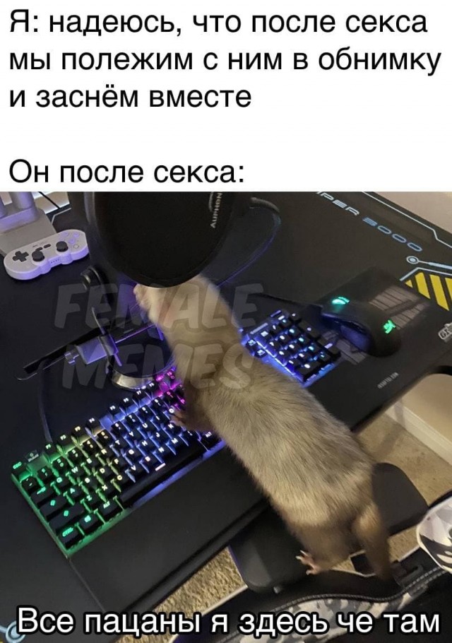 Мемасы (Пошлятина и мат)
