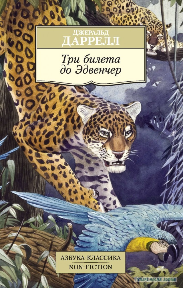 Книжка из детства, которую вы перечитывали несколько раз?