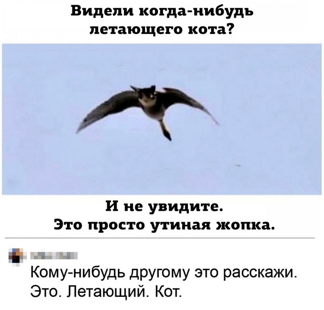 Так себе картинки 02.09.21