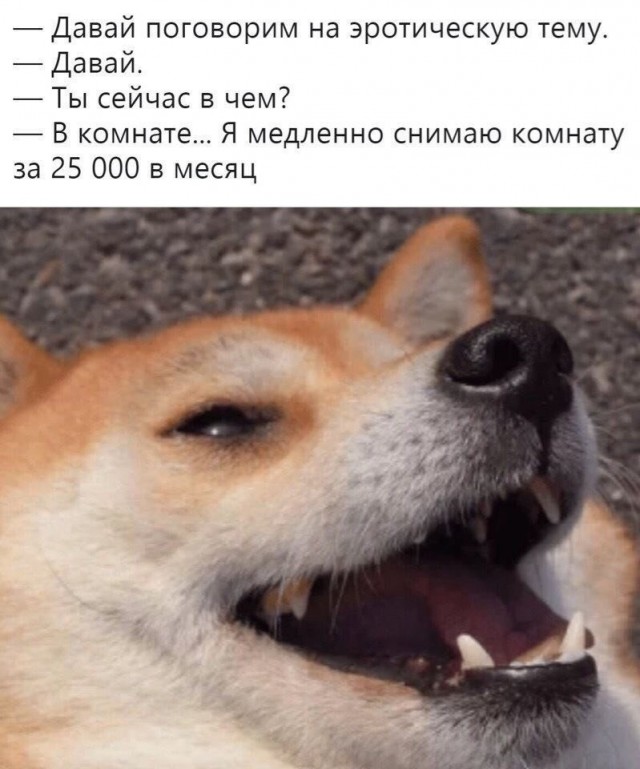 Так себе картинки 01.10.21