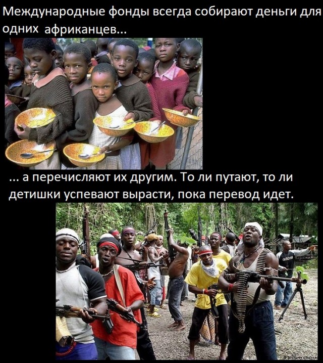 Так себе картинки 15.10.21