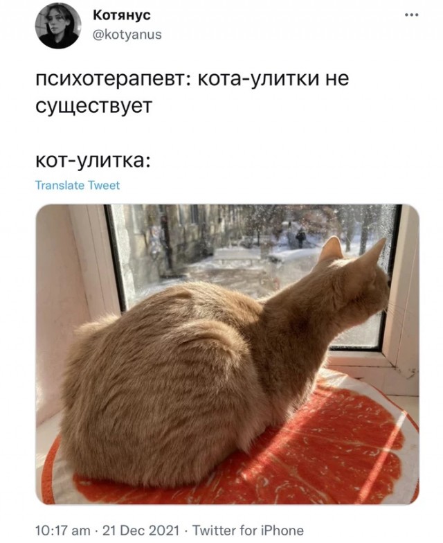 Картинки и мемы для настроения 02.02.2022