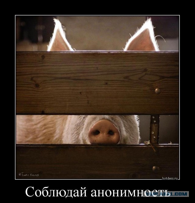 Уничтожение огневых точек националистов из батальона «Азов»,расположенных в жилых домах на окраине Мариуполя