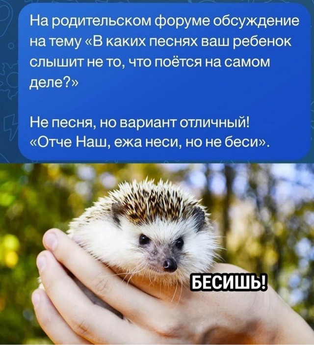 Лоза и плов