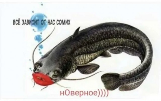 25 пикч для настроения