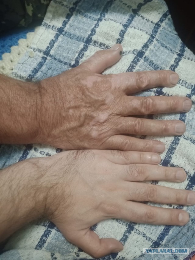 Руки обычного грузчика