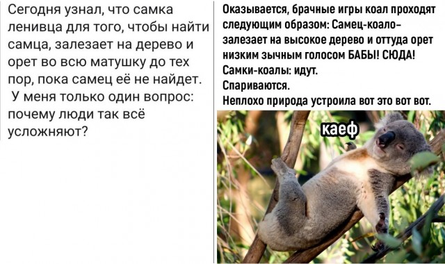 Так себе картинки 08.05.22