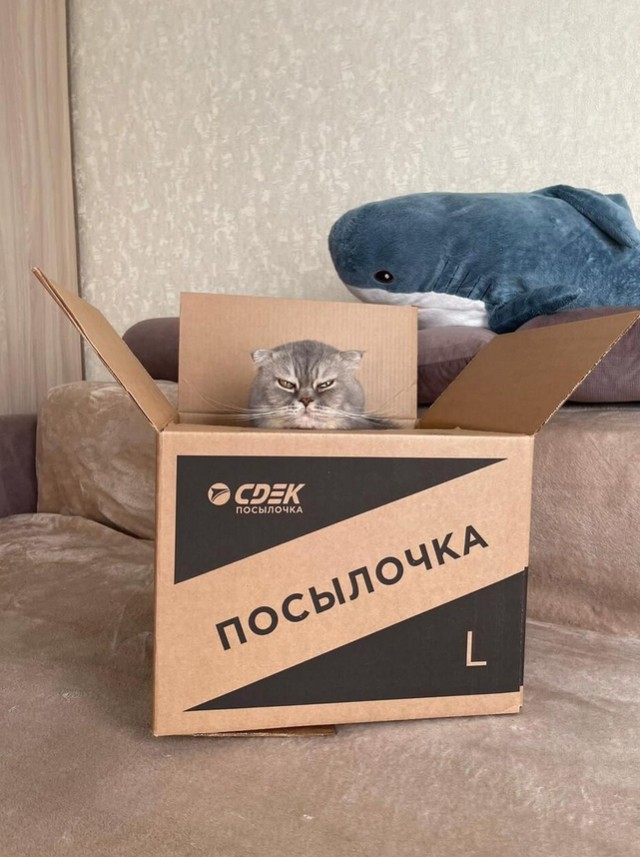 40 картинок разных 26.05.2022