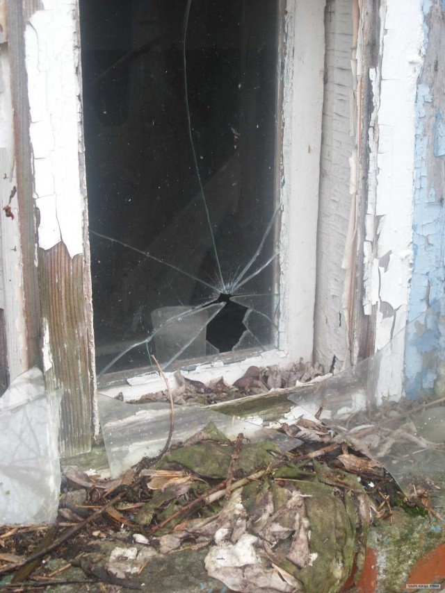 Моя поездка в Чернобыль