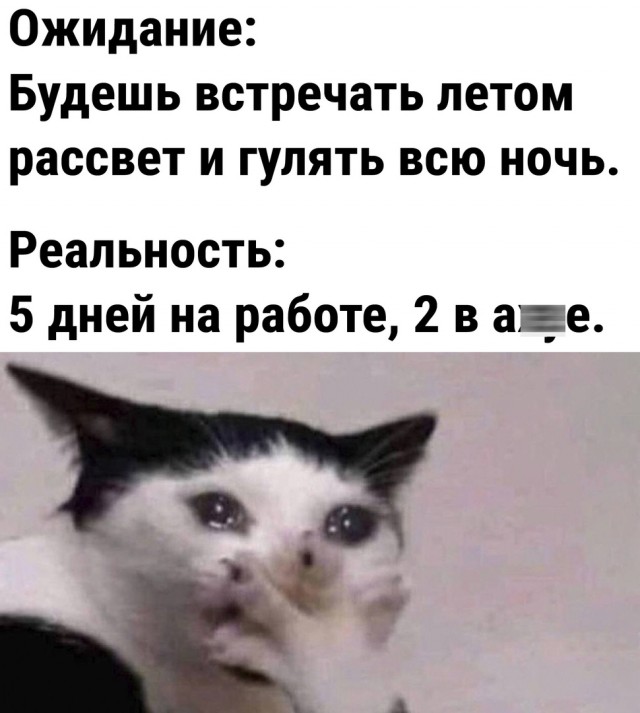 Так себе картинки 09.07.22