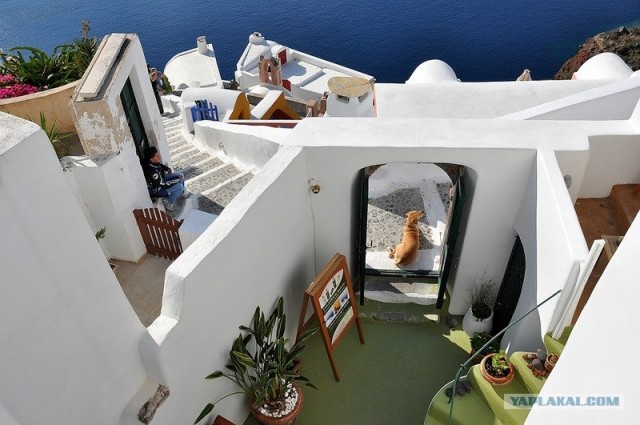 Любовь с первого взгляда