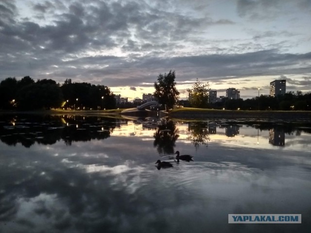 Просто фотки с телефона