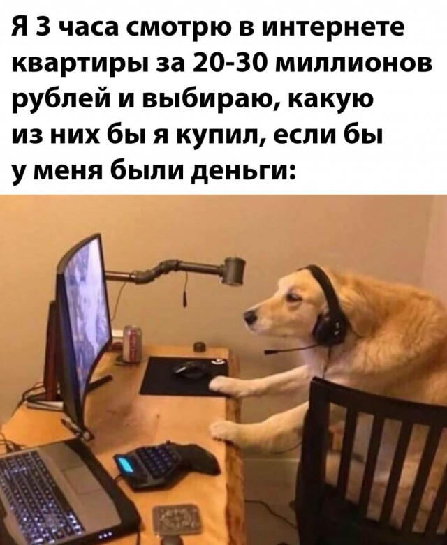 Деградация лайт 13.10.2022