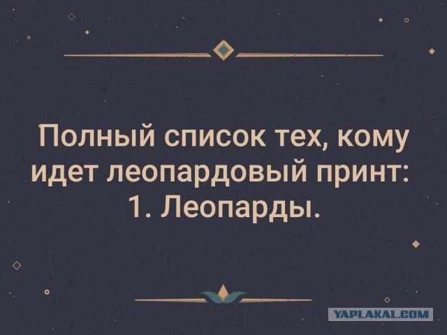 Хищницы соблазнительницы