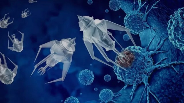 Сконструированные бактерии, управляемые магнитом, успешно уничтожили неоперабельный рак