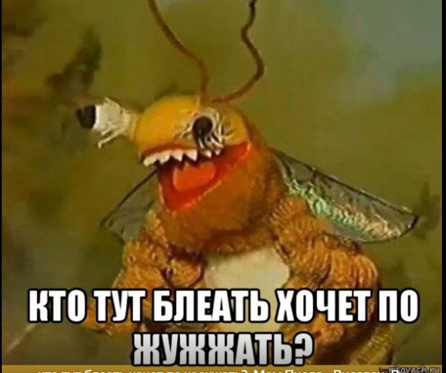 5 научных фактов, которые не укладываются в голове