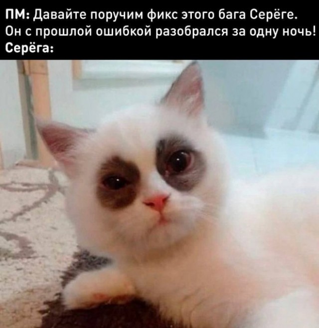 Немного картинок для настроения - 151