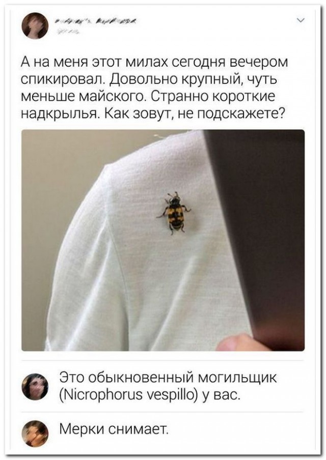Забавные комментарии из социальных сетей (05.06.23)