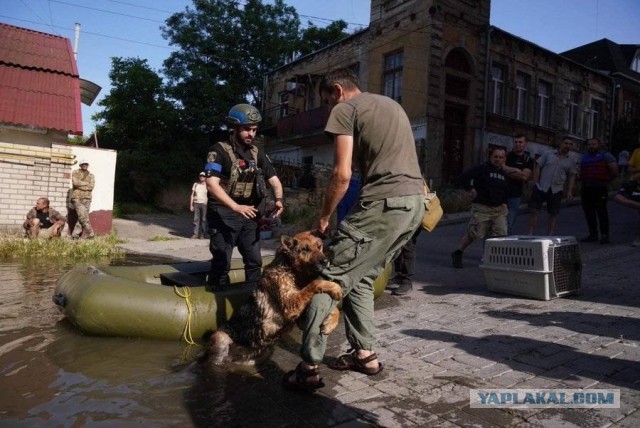 Так сейчас выглядит Херсон