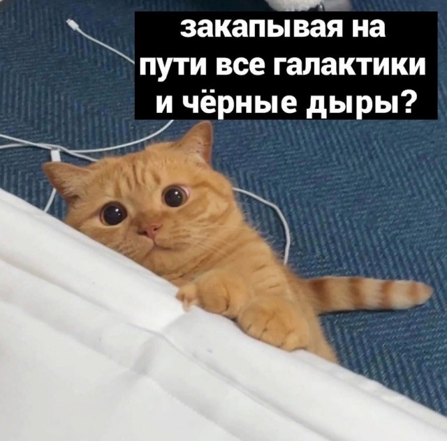 Всего понемногу. И снова пятничный.