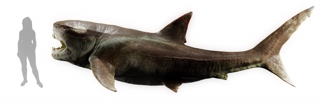 Дунклеостей: Гигантская бронированная торпеда с силой укуса тираннозавра щёлкает акул, как семечки
