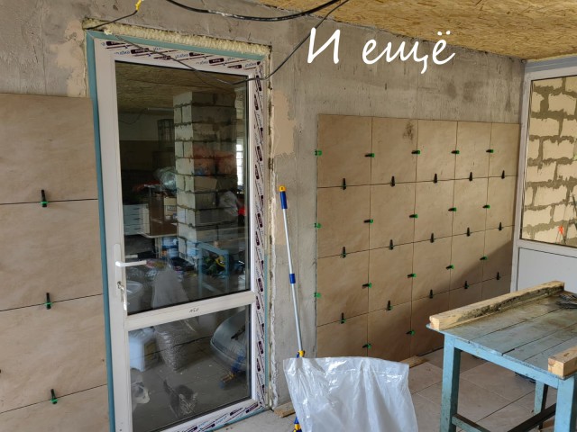 Жизнь домашнего приюта "Котоленд" 394
