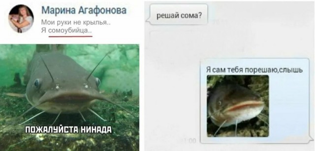 В Башкирии сом схватил купающегося ребенка за ногу и попытался утащить за собой