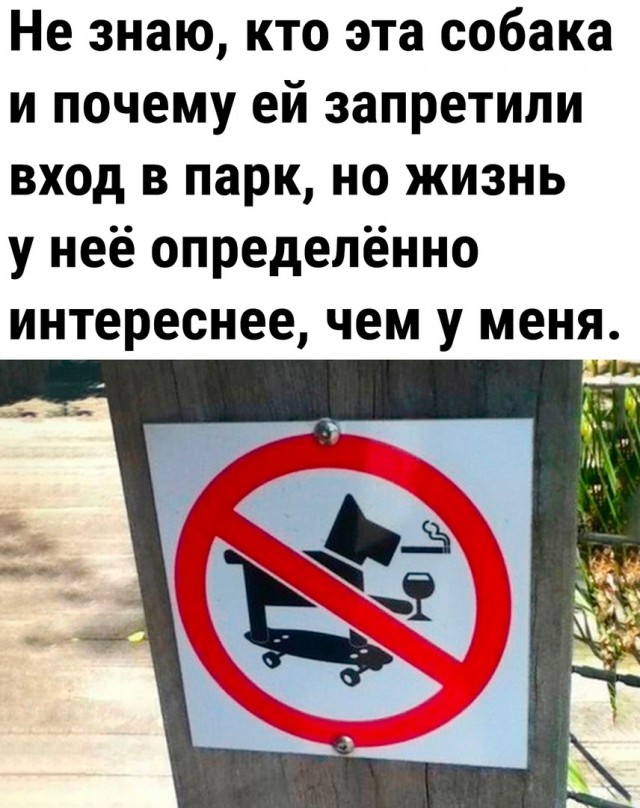 Так себе картинки 24.07.23