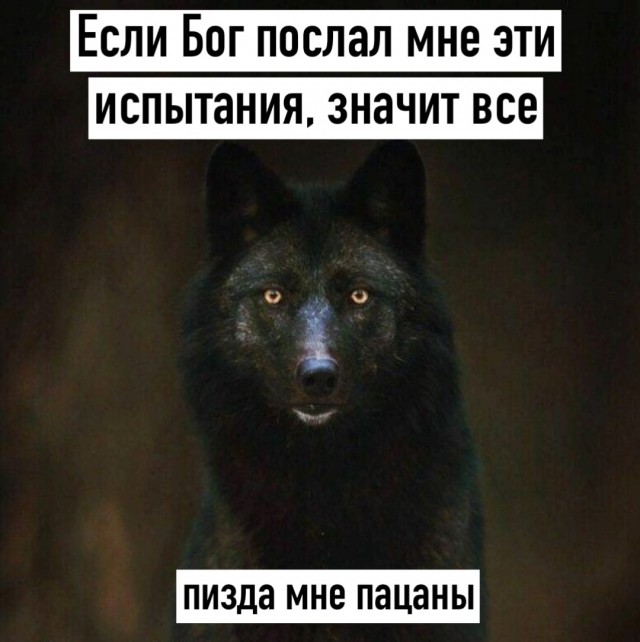 Нуштош 03.08.2023