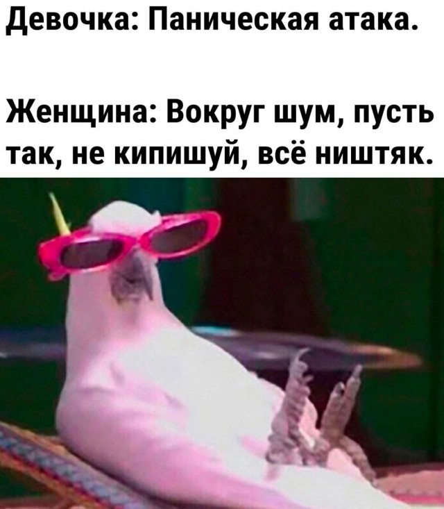 Так себе картинки 22.10.23